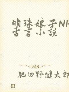 明珠娘子NPC古言小说