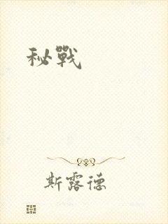 秘战