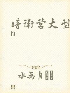 暗卫营大型hpn