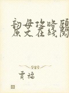 韵母攻略顾小暖原文在线阅读封面