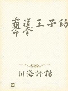 霸道王子的绝对命令
