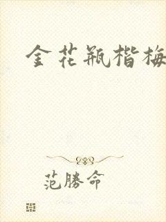 金花瓶楷梅花2封面