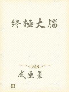 终极大脑