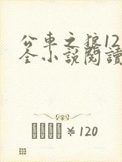 公车之狼12集全小说阅读