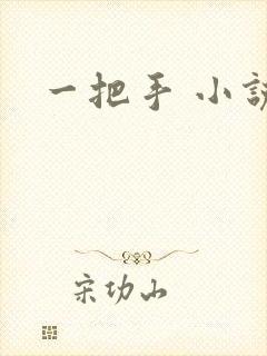 一把手 小说