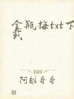 金瓶梅txt下载