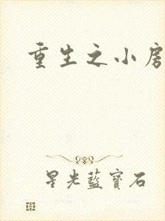 重生之小房东