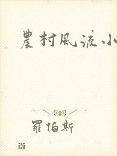 农村风流小说