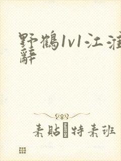 野鹤1v1江淮辞封面
