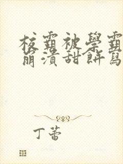 校霸被学霸玩到崩溃甜饼写手封面