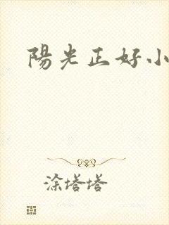 阳光正好小说
