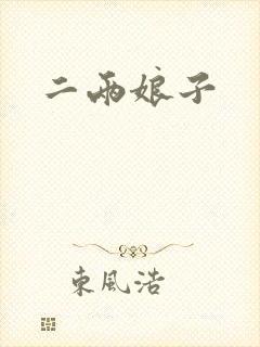 二两娘子封面