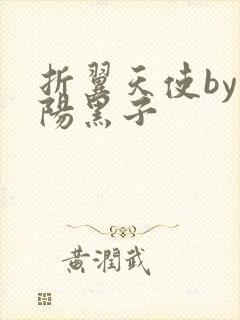 折翼天使by太阳黑子封面
