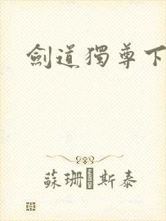 剑道独尊下载封面