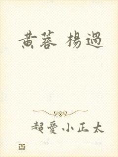 黄蓉 杨过封面