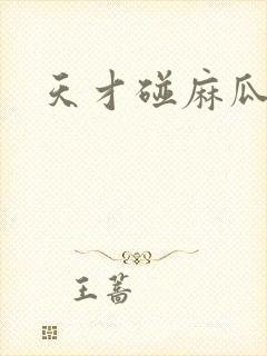 天才碰麻瓜
