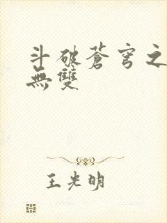 斗破苍穹之淫帝无双封面