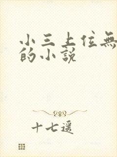 小三上位无三观的小说