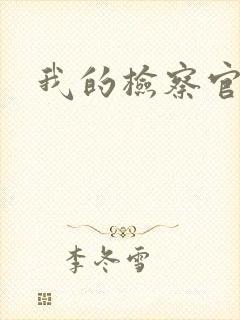 我的检察官先生封面