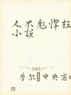 人不彪悍枉少年小说