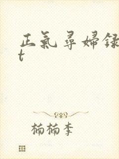 正气寻妇录txt