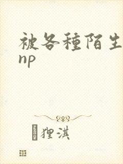 被各种陌生人 np