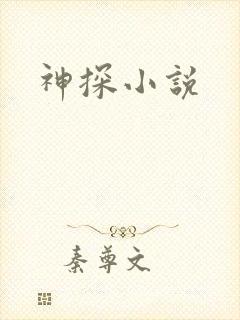 神探小说