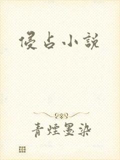 侵占小说