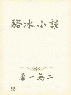 骆冰小说