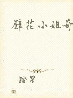壁花小姐奇遇记