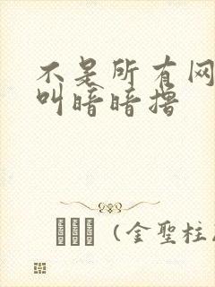 不是所有网站都叫暗暗撸