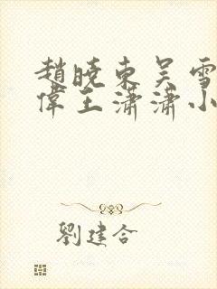 赵晓东吴雪晴郑伟王潇潇小说名字