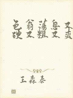 色翁荡息又大又硬又粗又爽小莹