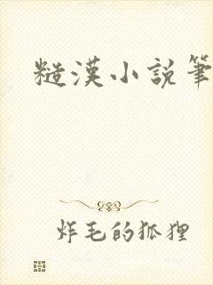 糙汉小说笔趣阁