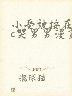 小受被按在墙上c哭男男漫画封面