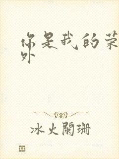 你是我的荣耀番外