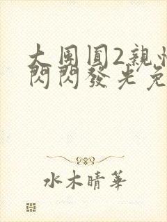 大团圆2亲情会闪闪发光免费
