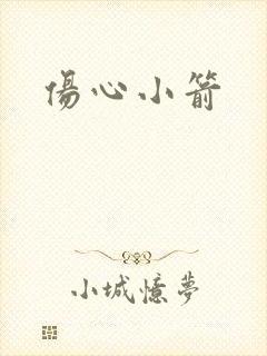 伤心小箭封面