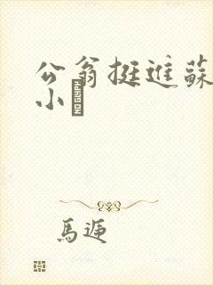 公翁挺进苏玥的小泬