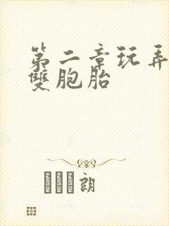 第二章玩弄少妇双胞胎