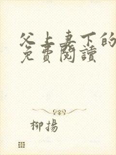 父上妻下的小说免费阅读封面