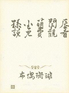 孙小萌闫辰的小说免费观看封面