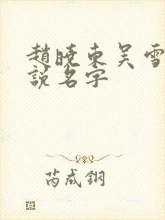 赵晓东吴雪晴小说名字封面