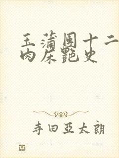 玉蒲团十二寡妇肉床艳史封面