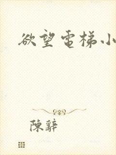 欲望电梯小说
