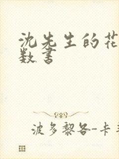 沈先生的花式调数书