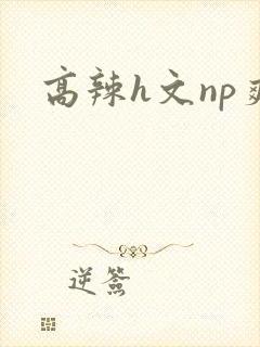 高辣h文np爽封面