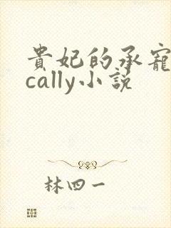 贵妃的承宠日常cally小说