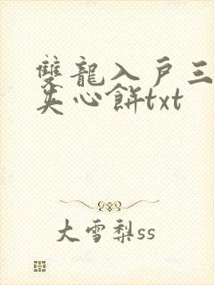 双龙入户三人行夹心饼txt