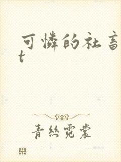 可怜的社畜txt